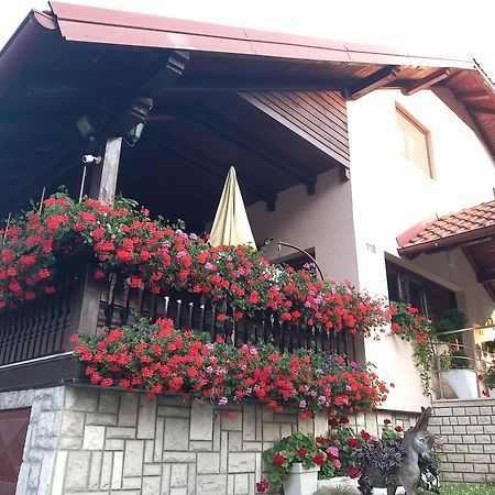 Apartment Vihor Zlatibor Luaran gambar