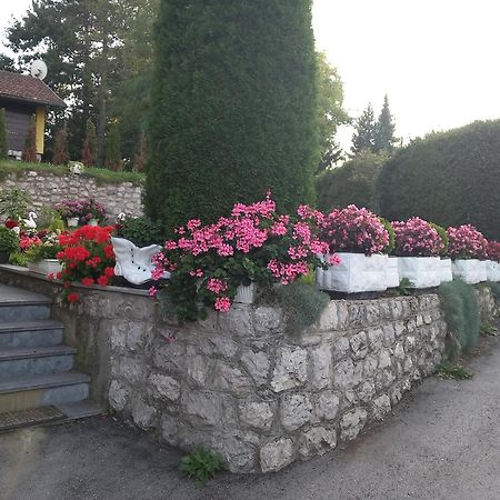 Apartment Vihor Zlatibor Luaran gambar