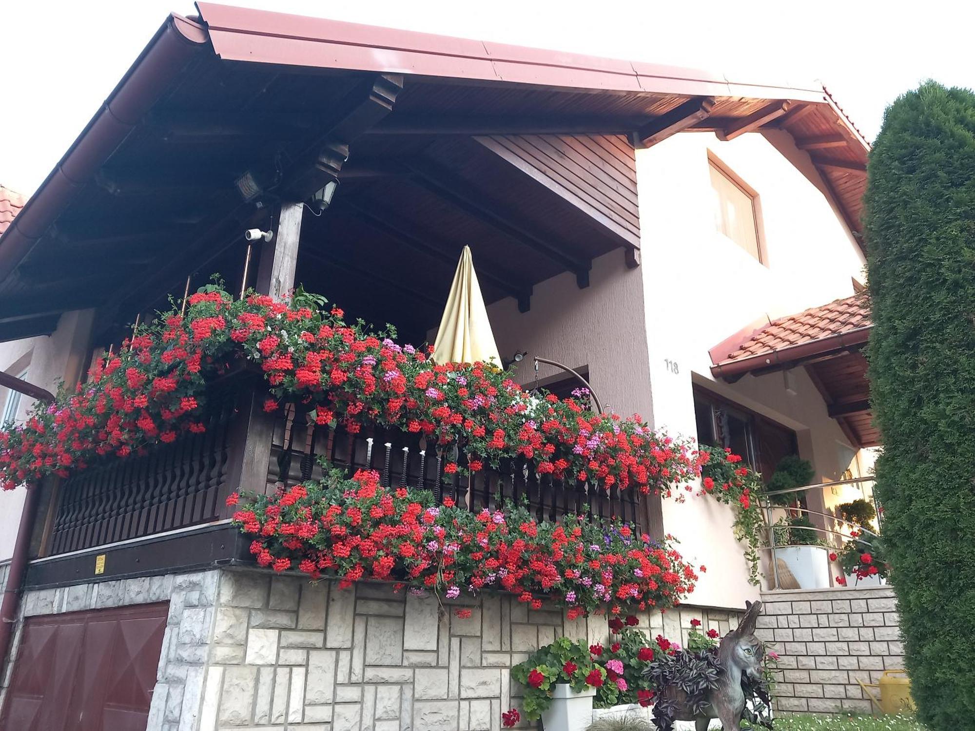 Apartment Vihor Zlatibor Luaran gambar