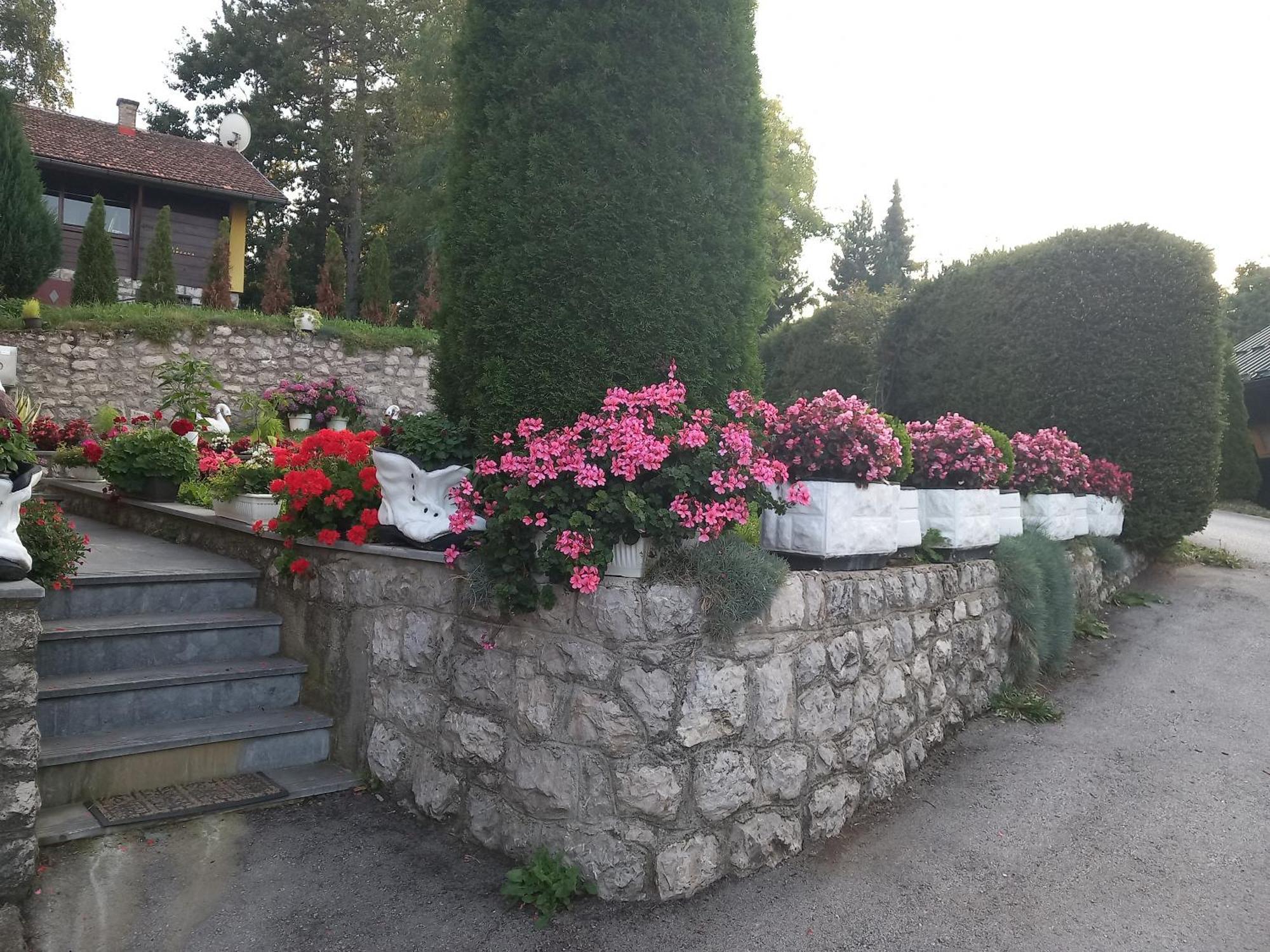 Apartment Vihor Zlatibor Luaran gambar