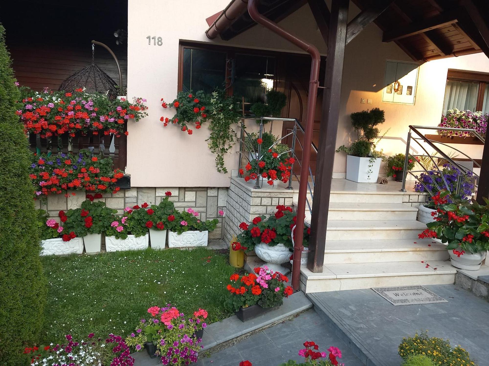 Apartment Vihor Zlatibor Luaran gambar